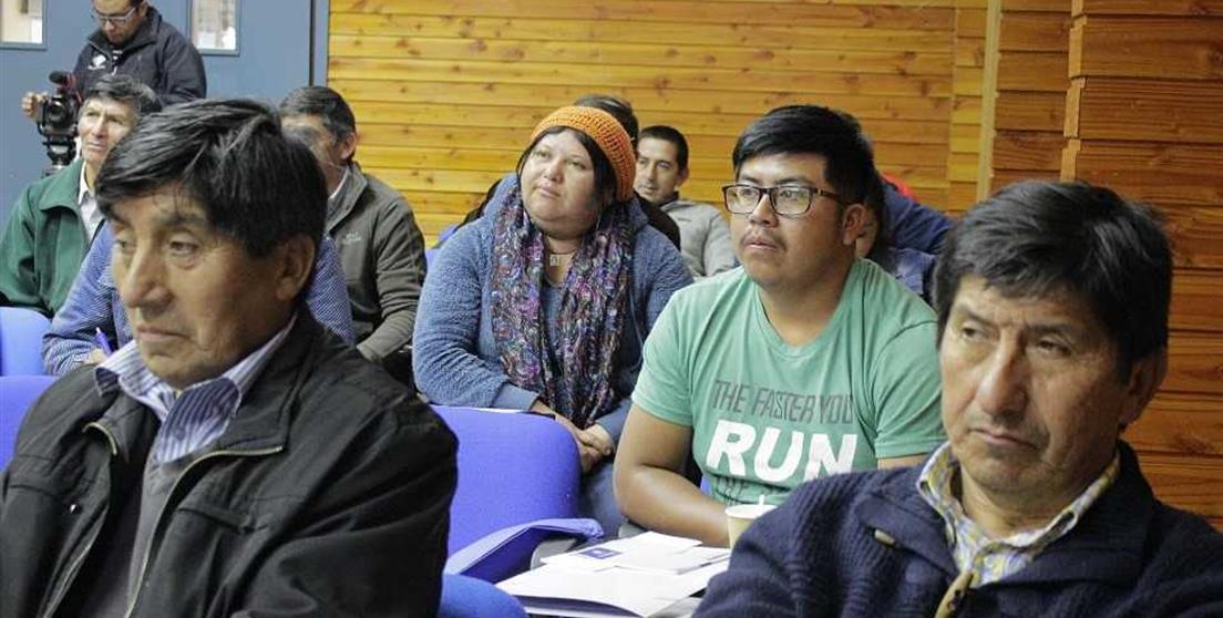 Formación en la Araucanía